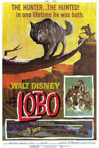 Movies The Legend of Lobo poster