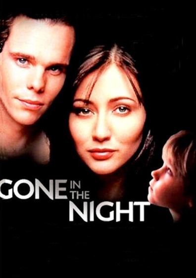 Movies Gone in the Night poster