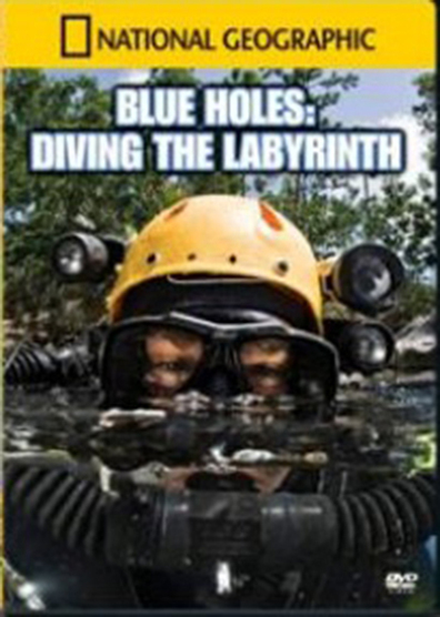 Movies Diving the Labyrinth poster