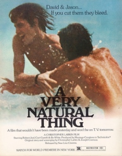 Movies A Very Natural Thing poster