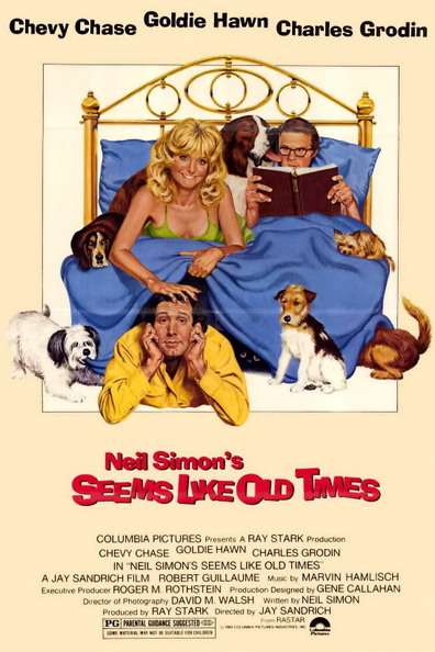 Movies Seems Like Old Times poster