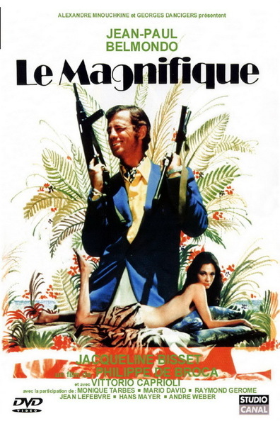 Movies Le magnifique poster