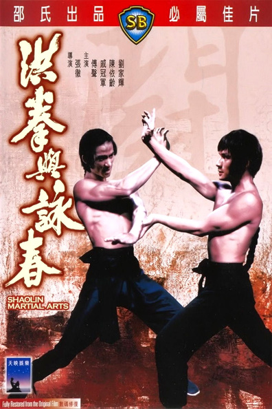 Movies Hong quan yu yong chun poster