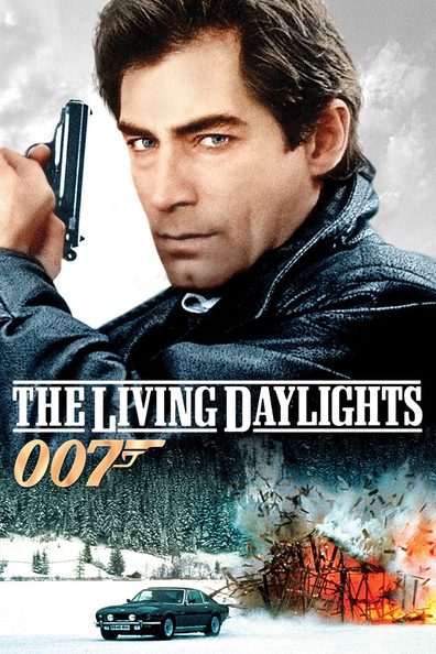 Movies The Living Daylights poster