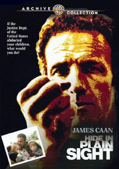 Movies Hide in Plain Sight poster