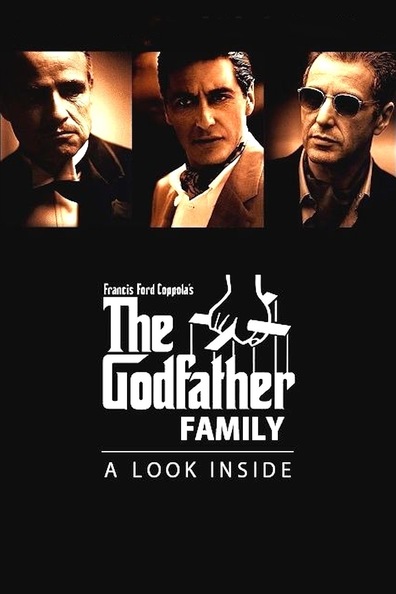Movies The Godfather Family: A Look Inside poster