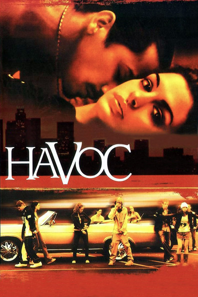 Movies Havoc poster