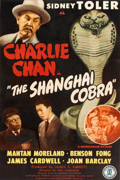 Movies The Shanghai Cobra poster