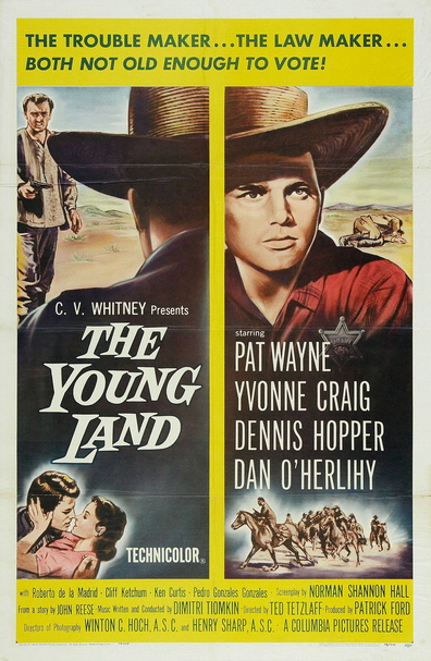 Movies The Young Land poster