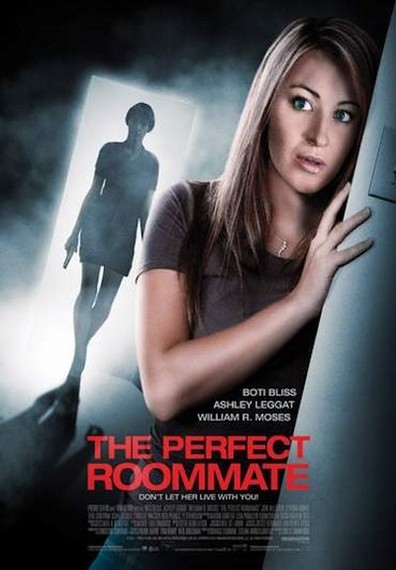 Movies The Perfect Roommate poster