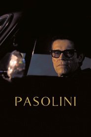 Pasolini is similar to Lace.