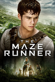 The Maze Runner is similar to Burning Man 2.0.