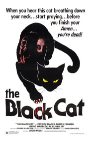 Black Cat is similar to Man in the Chair.