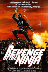 Revenge Of The Ninja is similar to Pidetty hiljainen mies.