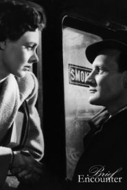 Brief Encounter is similar to L'ultimo padrino.