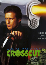 Crosscut is similar to Spacehunter: Adventures in the Forbidden Zone.