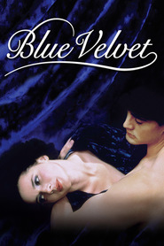 Blue Velvet is similar to Chandni Raat.