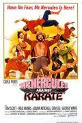 Movies Schiaffoni e karate poster