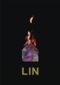 Movies Lin poster