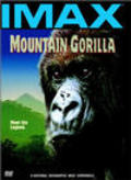 Movies Mountain Gorilla poster