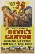 Movies Devil's Canyon poster