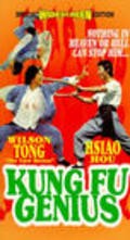 Movies Tian cai gong fu poster