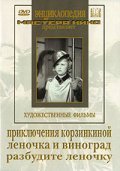 Movies Priklyucheniya Korzinkinoy poster