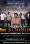 Movies Mid Life Gangster poster