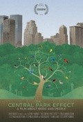 Movies The Central Park Effect poster