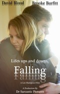 Movies Falling poster