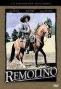 Movies Remolino poster
