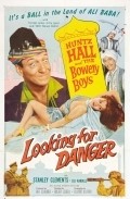 Movies Looking for Danger poster