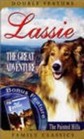 Movies Lassie's Great Adventure poster