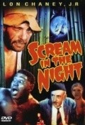 Movies A Scream in the Night poster