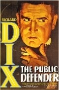 Movies The Public Defender poster
