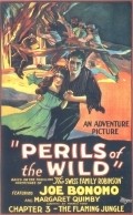 Movies Perils of the Wild poster
