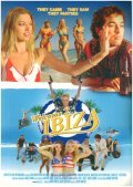 Movies Welcome 2 Ibiza poster