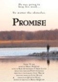 Movies Promise poster