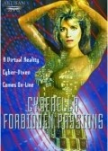 Movies Cyberella: Forbidden Passions poster