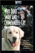 Movies Why Dogs Smile & Chimpanzees Cry poster