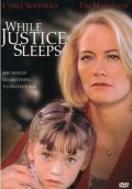 Movies While Justice Sleeps poster