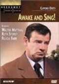 Movies Awake and Sing poster