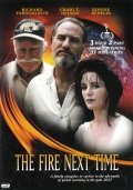 Movies The Fire Next Time poster