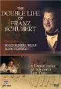 Movies The Temptation of Franz Schubert poster