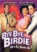 Movies Bye Bye Birdie poster