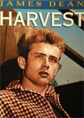 Movies Harvest poster