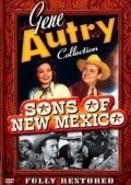 Movies Sons of New Mexico poster