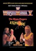 Movies WrestleMania V poster