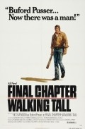 Movies Final Chapter: Walking Tall poster