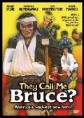Movies They Call Me Bruce? poster